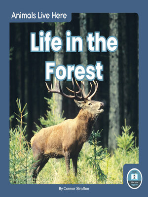 cover image of Life in the Forest
